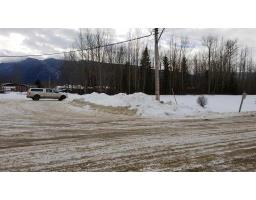 1105 SE FRONTAGE ROAD, robson valley (zone 81), British Columbia