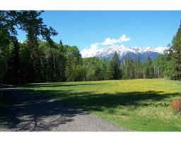 16305 N 5 HIGHWAY, robson valley (zone 81), British Columbia
