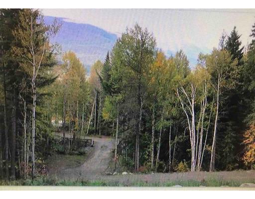 E 16 HIGHWAY, valemount, British Columbia