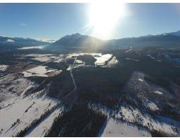 1860 CRANBERRY LAKE ROAD, valemount, British Columbia