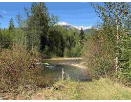 1503 SWIFT CREEK ROAD, valemount, British Columbia