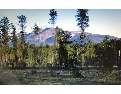 LOT 20 CRANBERRY LAKE ROAD, valemount, British Columbia