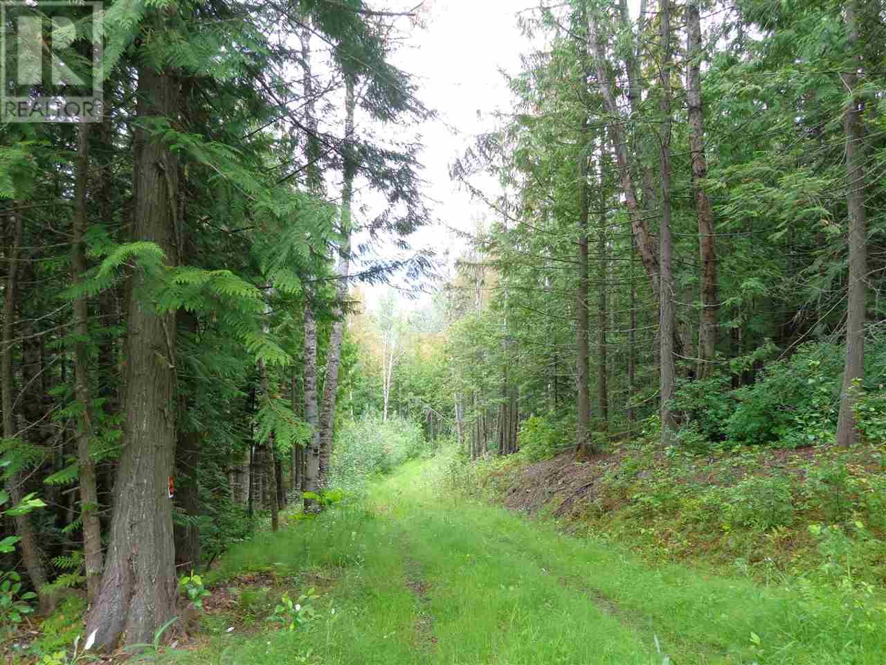 PEPPER PIT ROAD, valemount, British Columbia