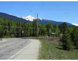 876 BEAVEN CRESCENT, robson valley (zone 81), British Columbia